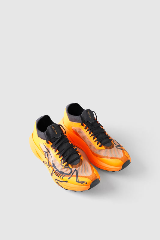 CAROTENE SYLAN 2